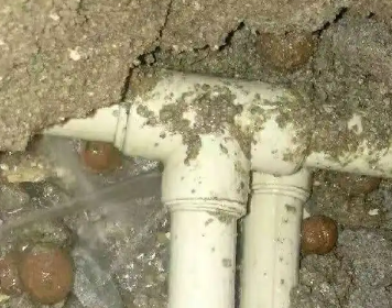 宿豫测漏水多少钱