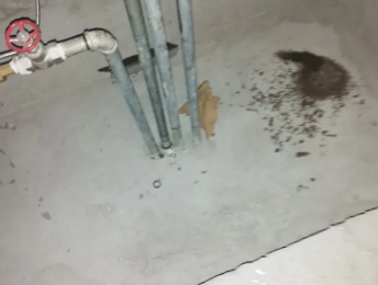 宿豫卫生间测漏水价格明细