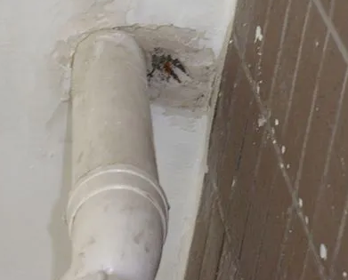 宿豫漏水检测哪家好